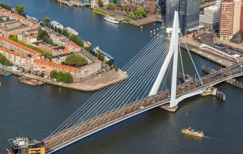 Rotterdam and Kinderdijk 6 hours walking and boat tour
