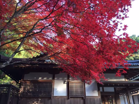 1 day special customized tour in Kyoto