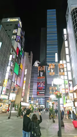 Kahoko's Tokyo "As you like " night tour