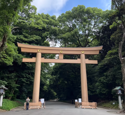 Tokyo First-Timer Special