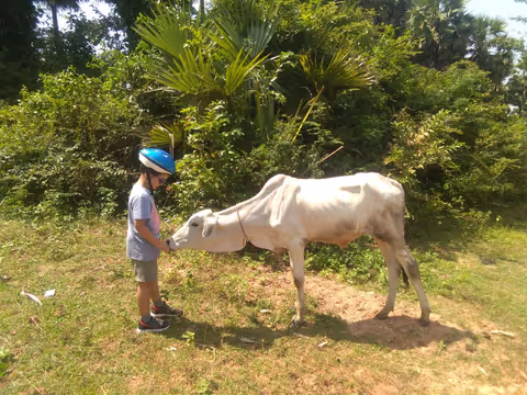 Siem Reap Countryside Family Cycling Tour 