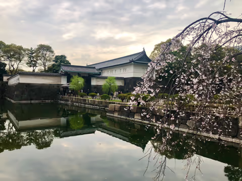Tokyo Private tour as-you-like