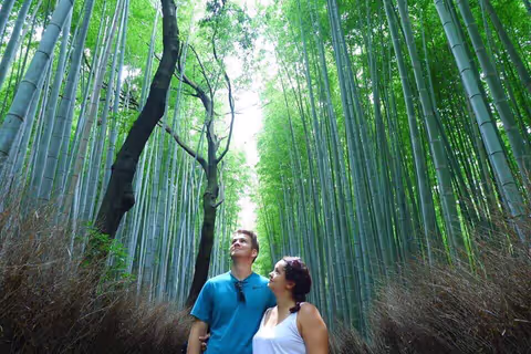 A full-day highlights tour of Kyoto city