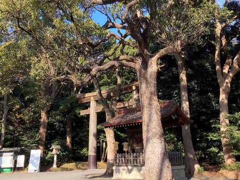 Tokyo Staple Spots for First Visitors