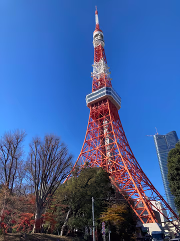 Tokyo Staple Spots for First Visitors