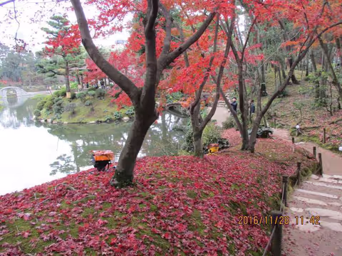 Hiroshima City Sightseeing
