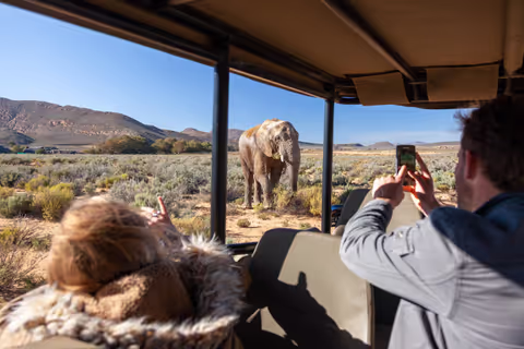 Safari experience & game drive