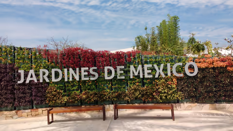 Car Tour to Gardens of Mexico in Jojutla Morelos and role to Cuernavaca