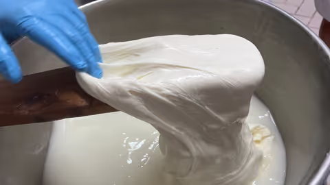 Mozzarella Class and Cheese tasting