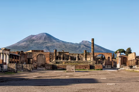 Pompeii Archeological site plus Wine Tasting and lunch