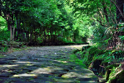 Promenade sur le sentier pavé d’OCHIAI à MAGOME et Visite des Musées sur la route de NAKASENDO (4)