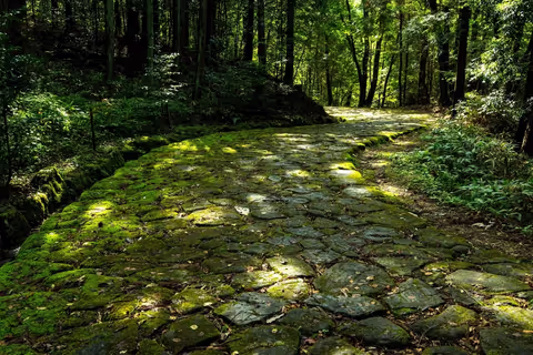 Promenade de MAGOME au sentier pavé d’OCHIAI et Visite des Temples  sur la route de NAKASENDO (5)