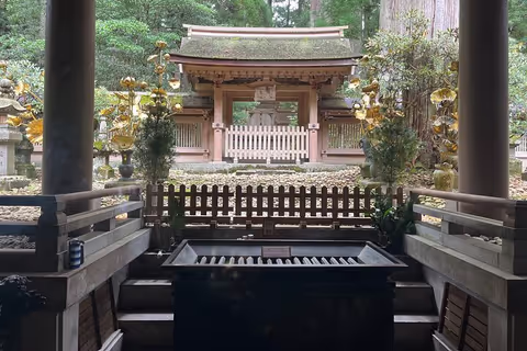 Visite Guidée Privée d'une Journée du mont Koya