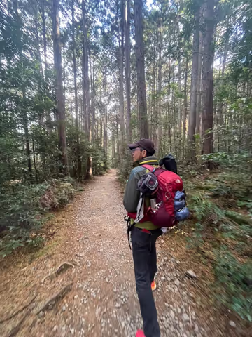 Koyasan, 117 Buddhist temples & 1200 years history