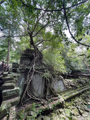 Beng Mealea + Banteay Srei