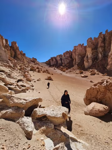 Discovering the andean salt flats