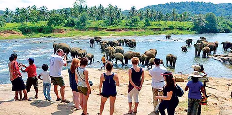 6 DAYS Sri Lanka Historical &  Cultural Tour