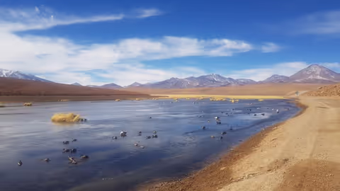 Full Day Geyser del Tatio Tour