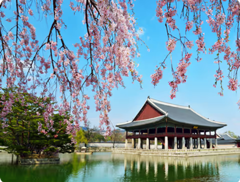 Half-day Seoul History, Religious & Culture tour