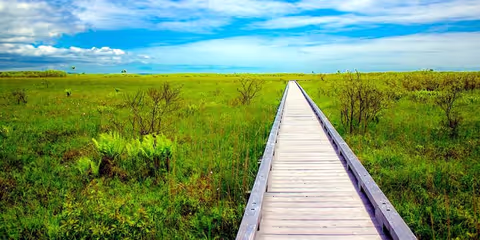 In and Around Kushiro①Crane Reserve/ National Park Short Trekking / Fish Market/ View Point
