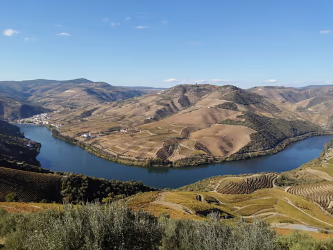 Half Day Hiking Tour in Douro Valley Wine Region
