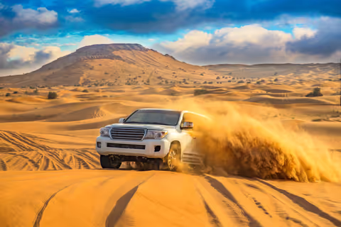 4x4 Desert Safari, Sandsurf, and Camel Ride Fayoum