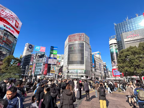 Walking tour around the Shibuya,Harajuku and Shinjuku