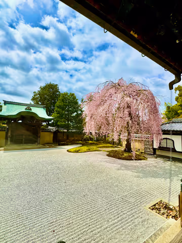 Fully customizable your own private tour in Kyoto