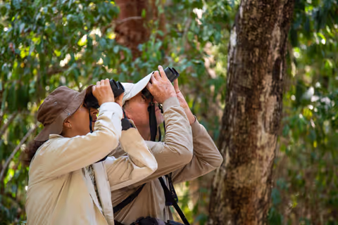 Birdwatching excursion