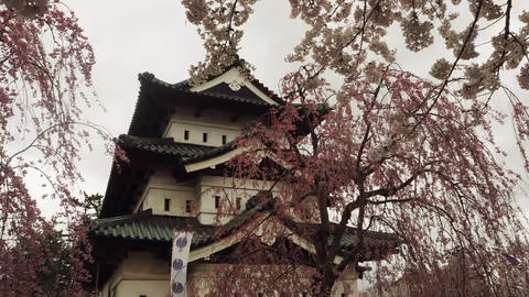 Half-Day Hirosaki Castle and Samurai house Tour with Guide