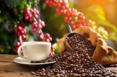 MATERUNI WATERFALLS AND COFFEE TOUR