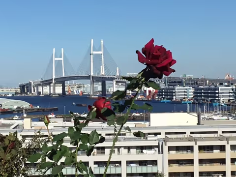 Yokohama City Walk - Highlight of Yokohama (7 hours)