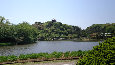 Delightful Yokohama　One day