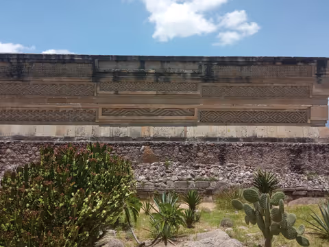 Car Tour From Mexico City to Oaxaca City including transportation round trip