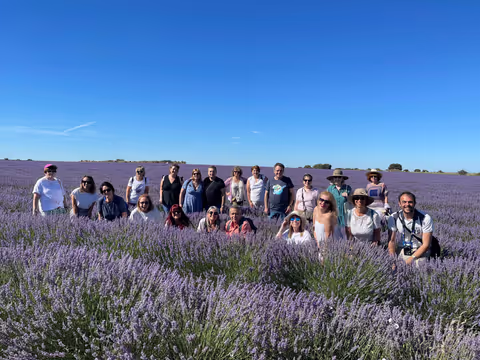 Fields of Lavender in Spain