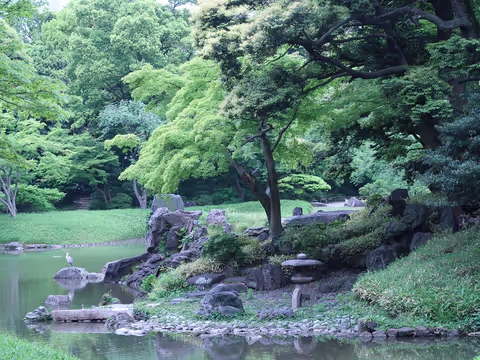 Let's enjoy representing Japanese gardens in Tokyo