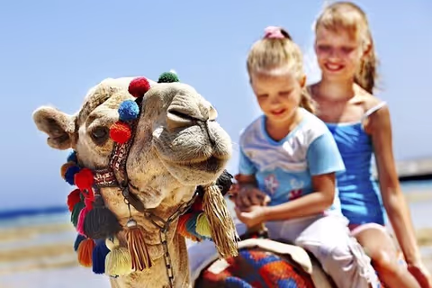 Authentic Private Tangier Tour with Lunch and Camel Ride