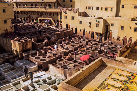 Step Into History: No Shopping, Half-Day Guided Tour of Fez
