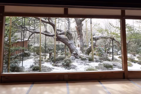 Off the Beaten Track in Kyoto Ohara