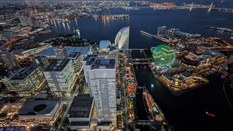 The Best of Yokohama With a Historian