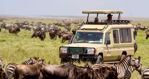 Experience the Wonders of Tanzania: A 3-Day Safari Adventure