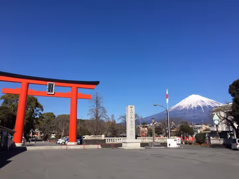 A day trip to Mt. Fuji area from Shimizu port with options