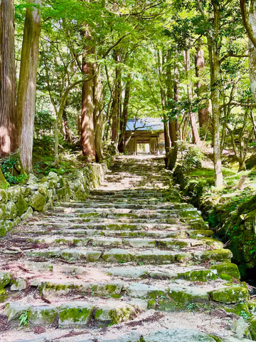 Private Car Tour - Enjoy the authentic castle towns and famous Oumi beef just outside Kyoto
