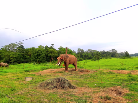 Chitwan National Park Tour from Kathmandu