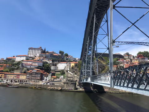 Historic Porto, port wine cellar and sardine factory with private car