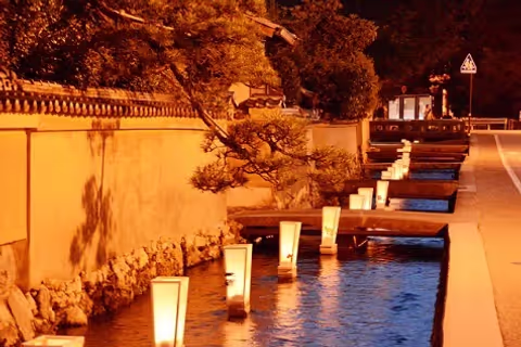 Kyoto Murasakino ( Daitokuji ) to Kamigamo tour ( peaceful tour with no hassle with crowd )