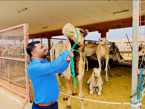 by Kia Carnival : private Al Ain city 10 hours tour with professional driver