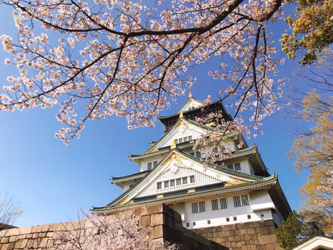 Osaka Sightseeing Tour
