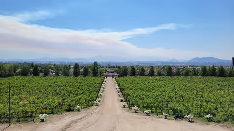 Full Day of wine in Maipo Valley