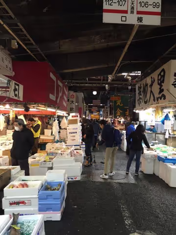 Downtown Tokyo Tour